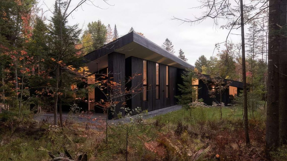 Działki leśne – możliwości inwestycyjne i prawne aspekty