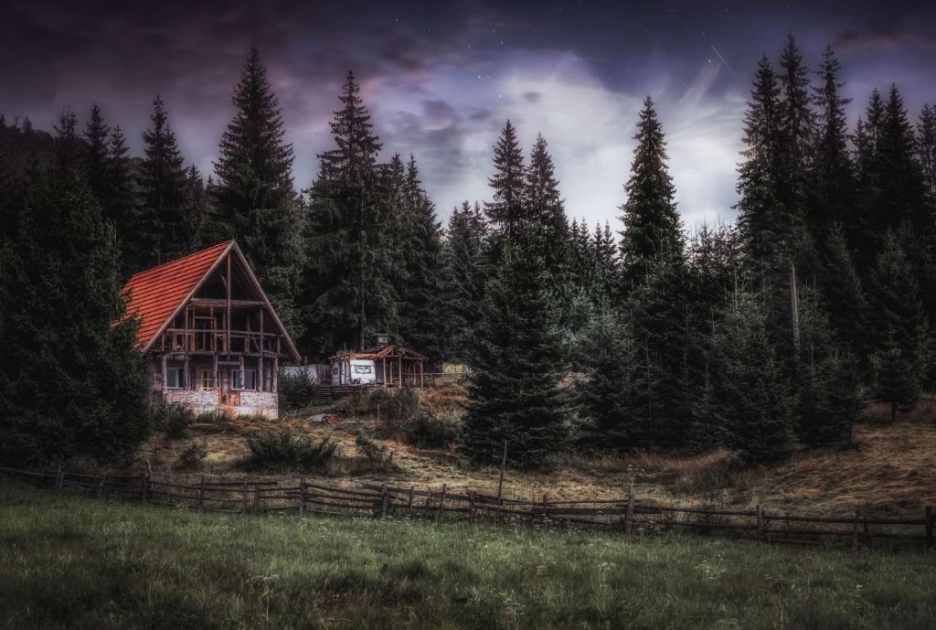 działka leśna co to znaczy